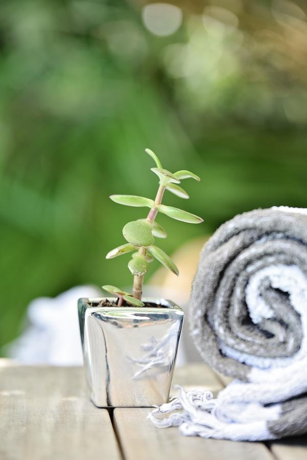 Vilacqua Boutique Guest Villa Plettenberg Bay Esterno foto