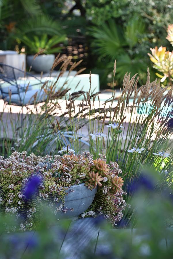Vilacqua Boutique Guest Villa Plettenberg Bay Esterno foto